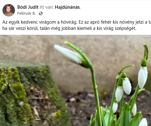 Hát nem cuki:
Mi mindenre van ideje a királynőnek.